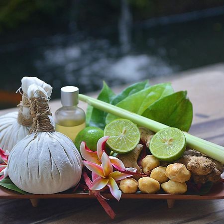 Villa Jj And Spa Ubud Eksteriør billede