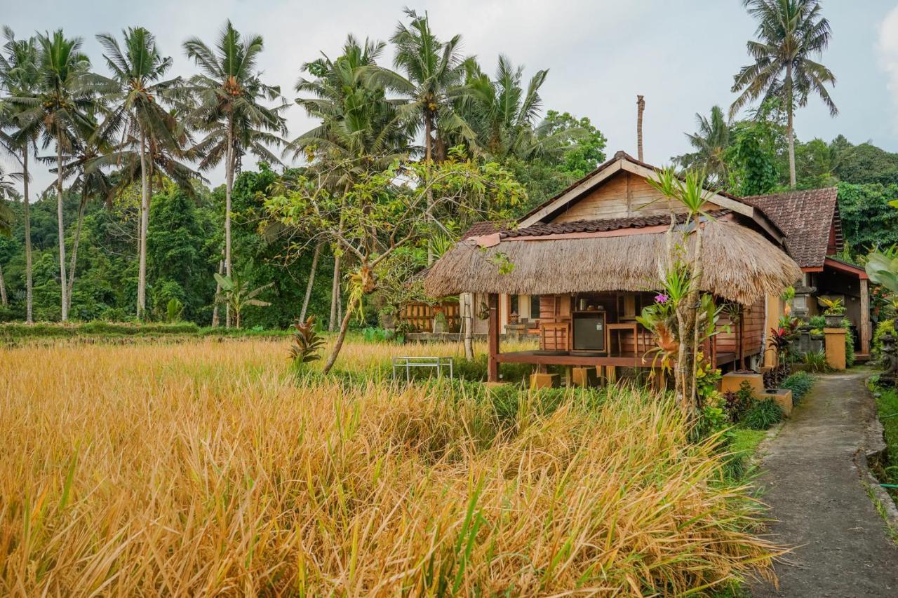 Villa Jj And Spa Ubud Eksteriør billede