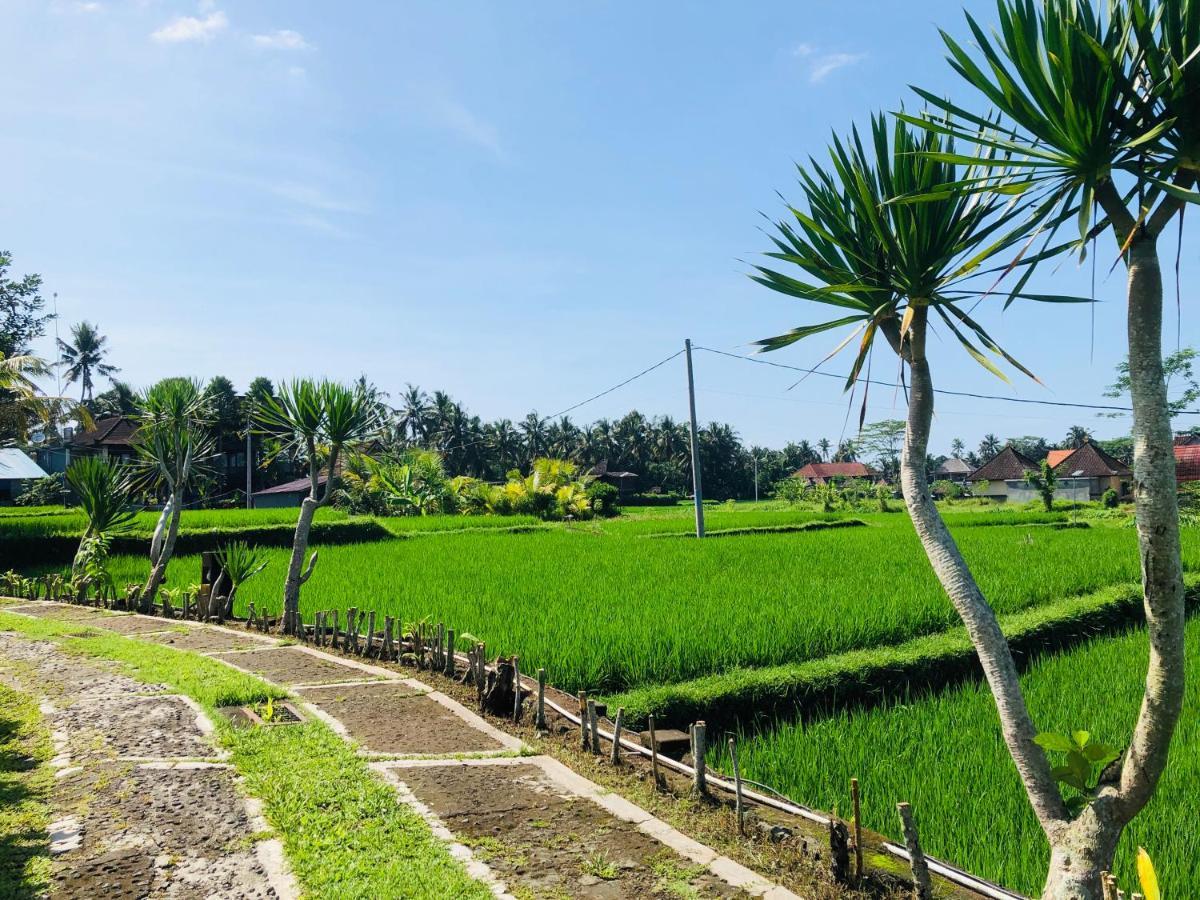 Villa Jj And Spa Ubud Eksteriør billede