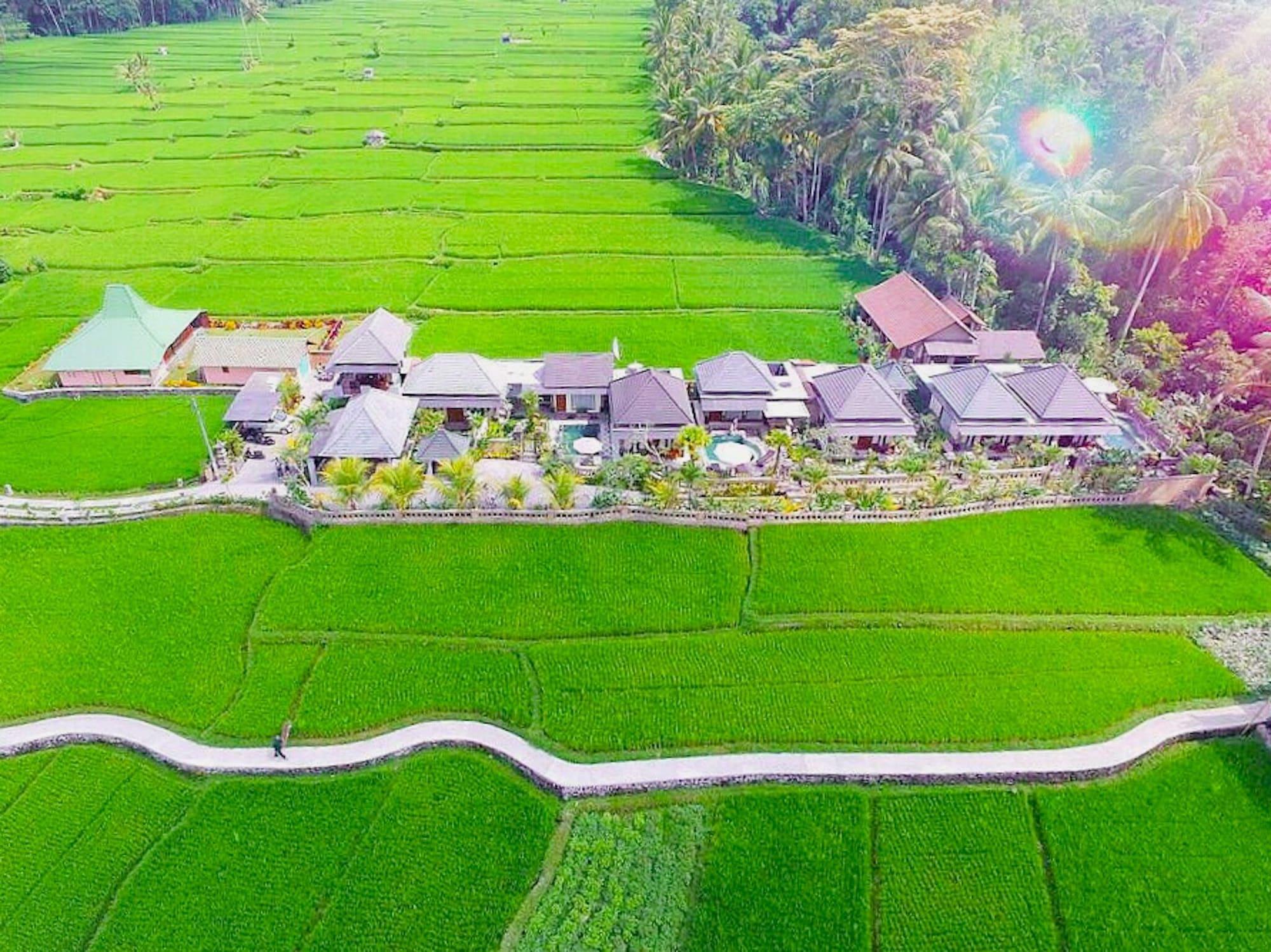 Villa Jj And Spa Ubud Eksteriør billede